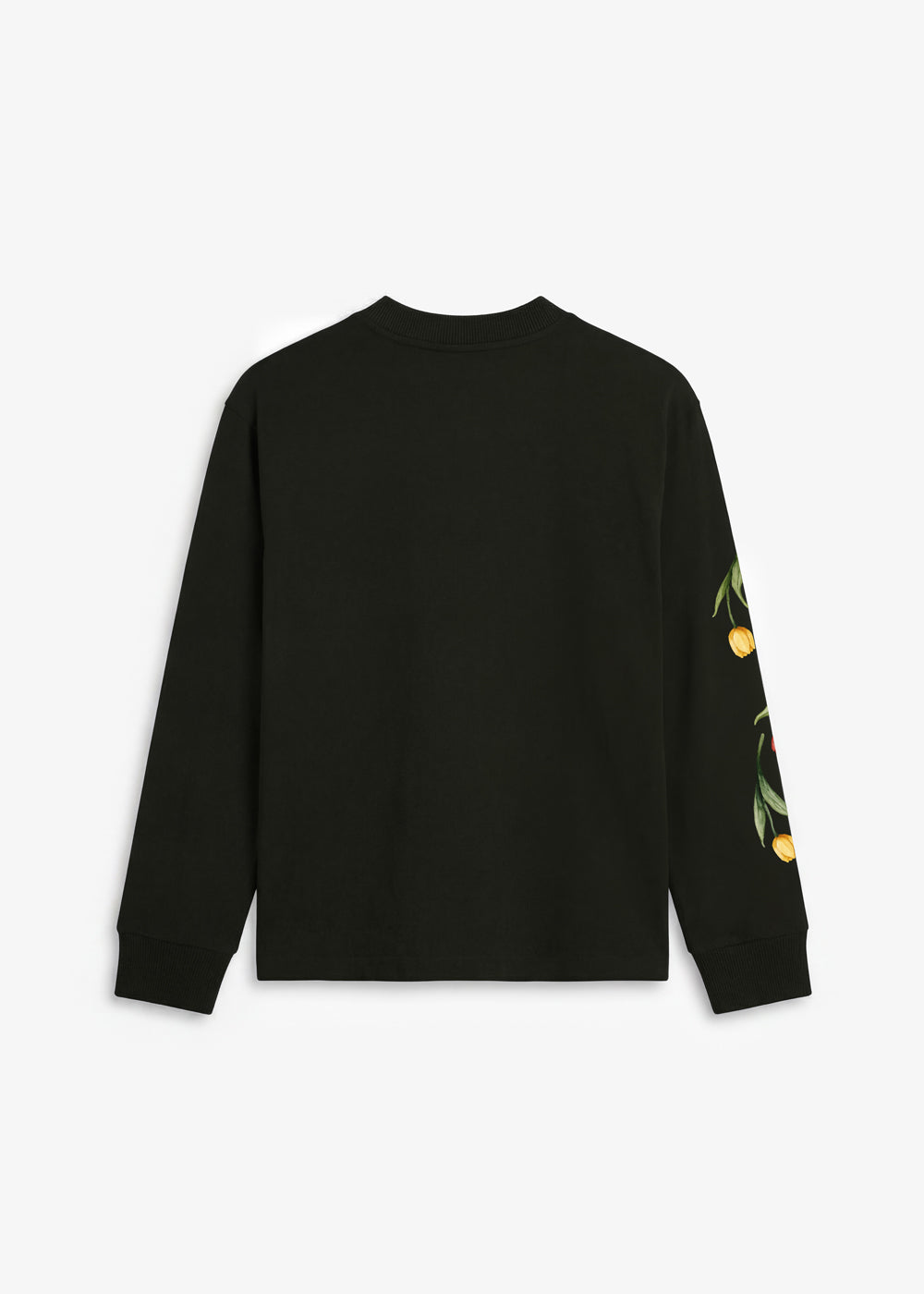 BRAM'S FRUIT Flora 2.0 Longsleeve Shadow Black