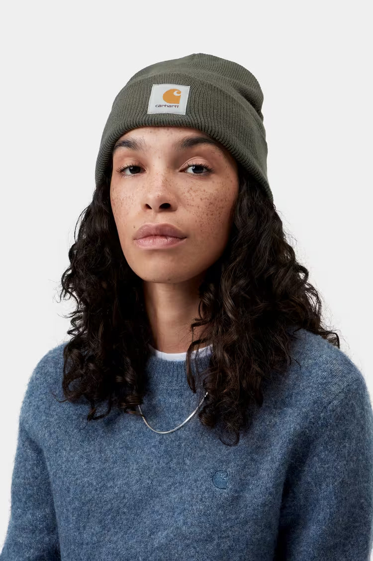 CARHARTT WIP Short Watch Hat Shungite