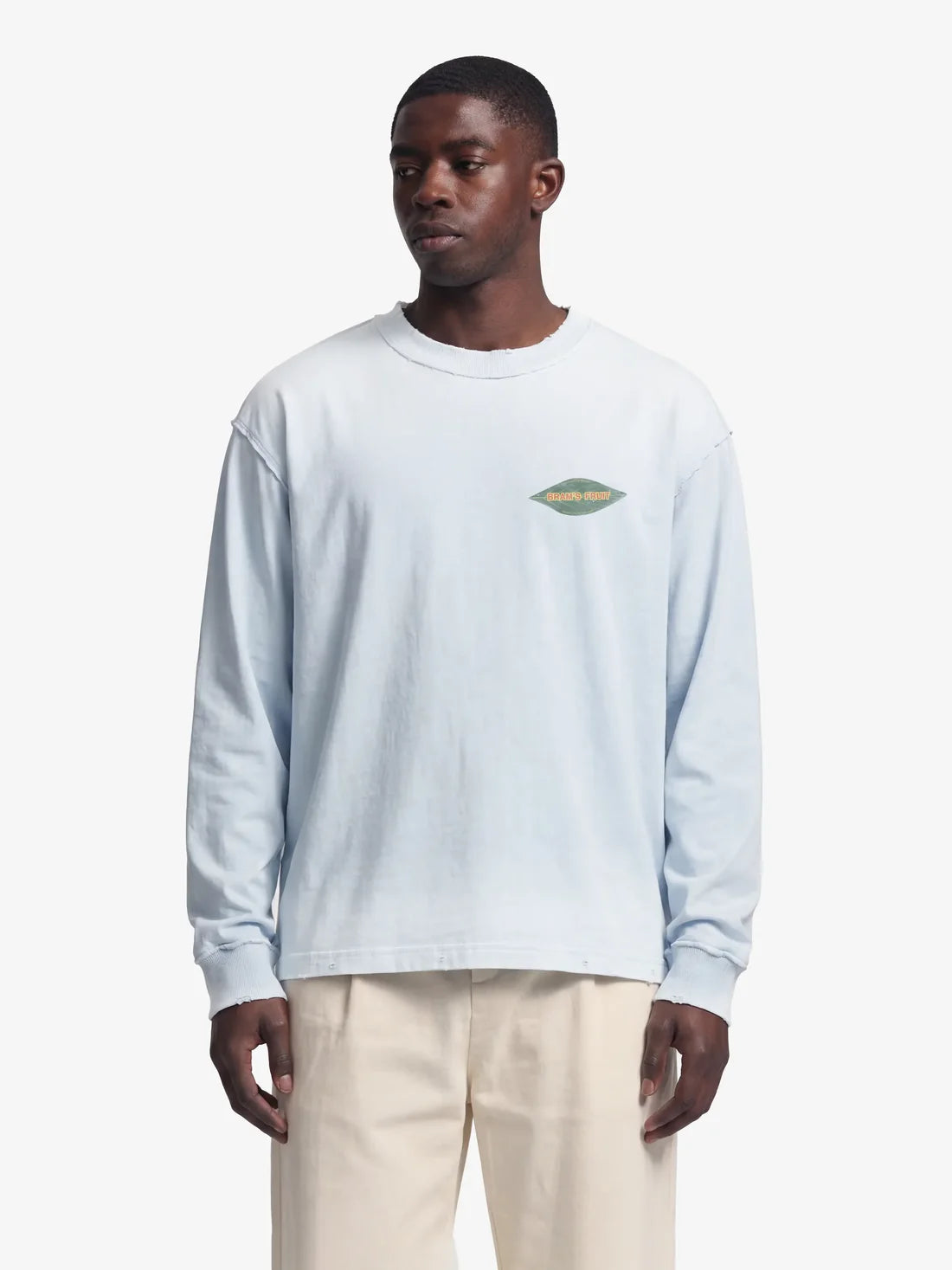 BRAM'S FRUIT Distressed Leaf Longsleeve Blueberry Blue